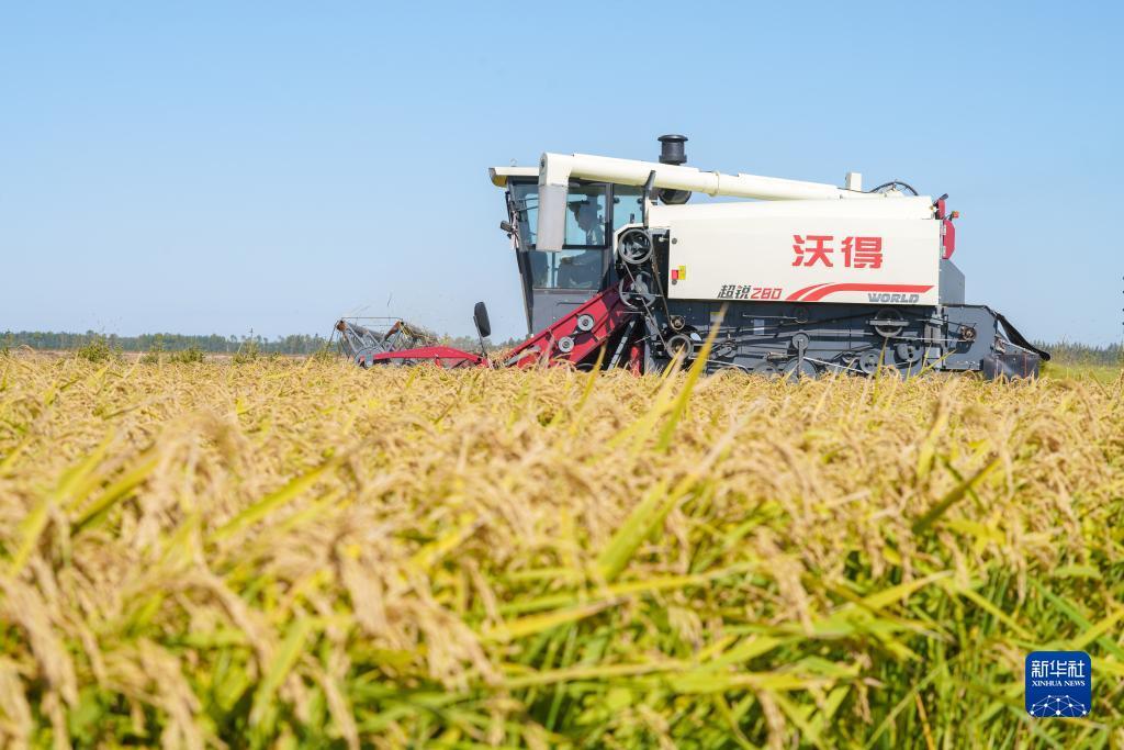大赢家官网首页